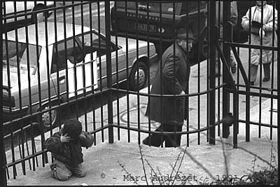 Photo de Paris